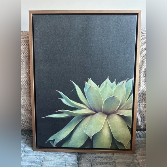 Succulent Framed Canvas Wall Art by F2 Images, 18x24 Gold - Picture 3 of 5